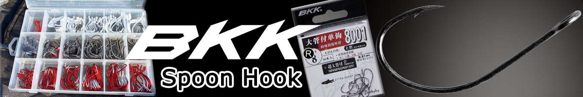  BKK 8001