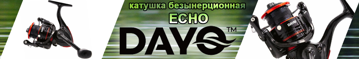 Dayo Echo