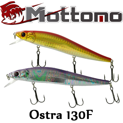 Mottomo Ostra 130F