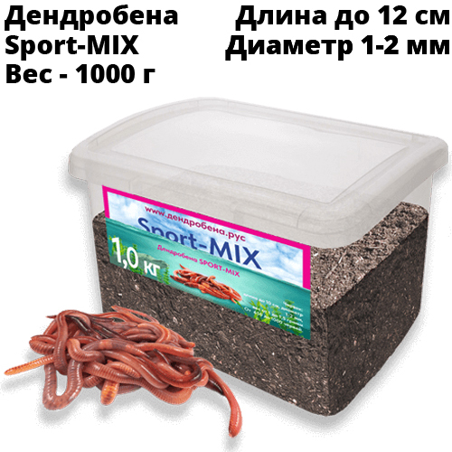Червь Дендробена SPORT-MIX 1000 г