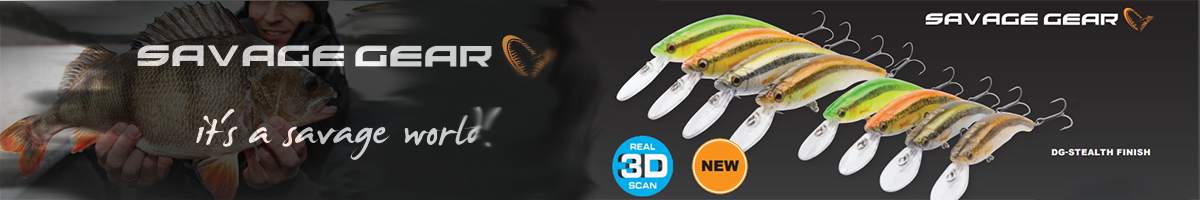 Savage Gear 3D Minnow Diver 9.5