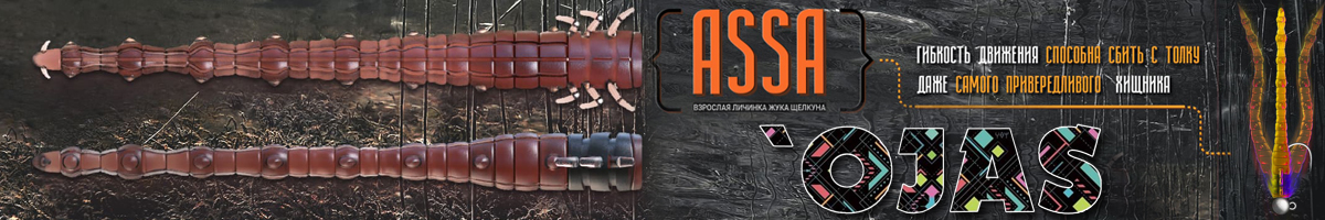 Ojas Assa SW53