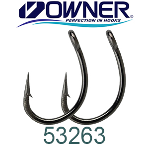 Owner Carp Tsuyosni BC