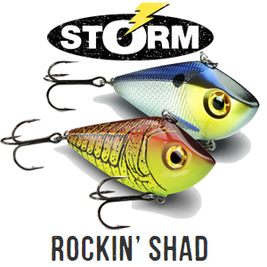 Storm Rockin' Shad