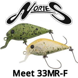 Nories Meet 33MR-F