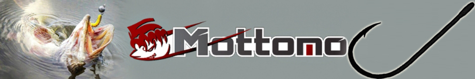 Mottomo JS-10