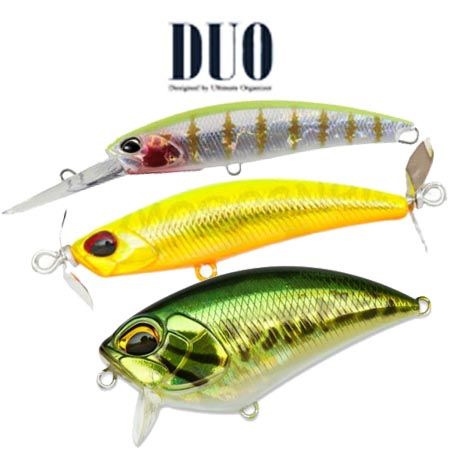 DUO