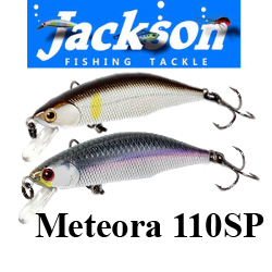 Jackson Meteora SP 110мм 17,5гр.