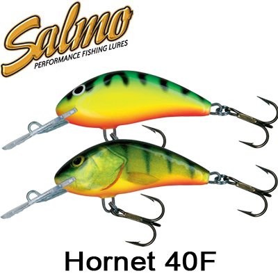 Salmo Hornet 40F