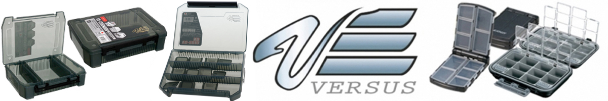 Versus VS-3010ND