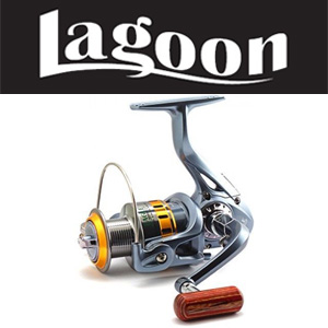 Lagoon Eagle
