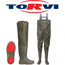 Torvi