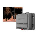 Блок эхолокации с датчиком Raymarine CP100 DownVision Fishfinder and Transom Mount CPT-100 (E70205)