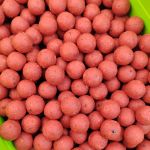 Бойлы варёные прикормочные Fishing Band Strawberry 15 мм 2 кг