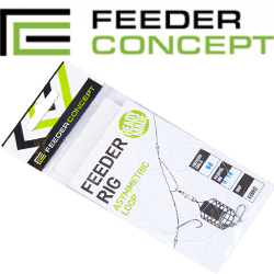 Feeder Concept Asymmetric Loop