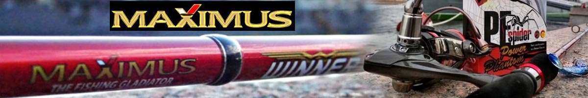 Maximus Winner