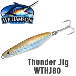 Williamson Thunder Jig 105мм 80гр. WTHJ80