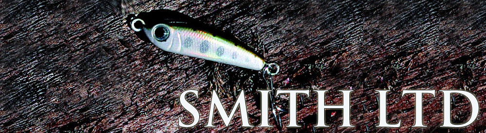 Smith IC Surger