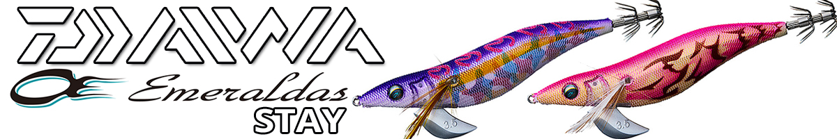Daiwa Emeraldas Stay 35