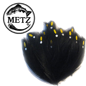 Metz Imitation Jungleecock