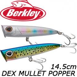 Berkley DEX Mullet Popper 14,5cm