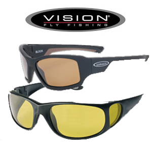 Vision