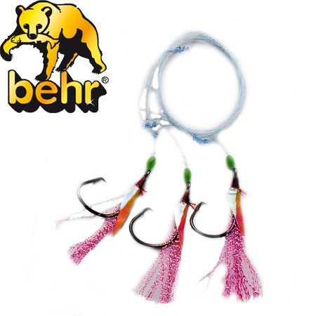 Behr Dorsch System