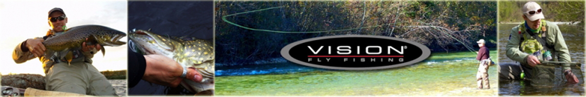 Vision
