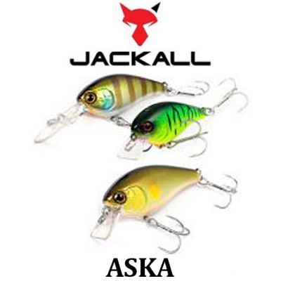 Jackall Aska