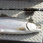 Спиннинг Shimano Dialuna XR S906M
