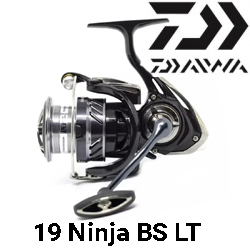 Daiwa 19 Ninja BS LT