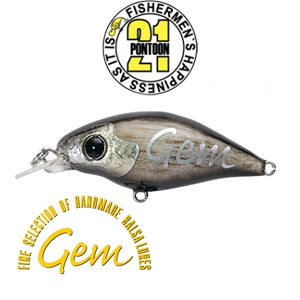 Pontoon21 Gem