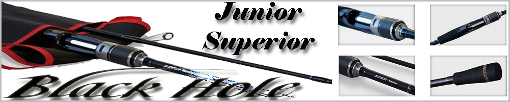 Black Hole Junior Superior                           