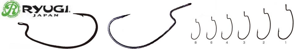 Ryugi