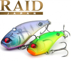 Raid