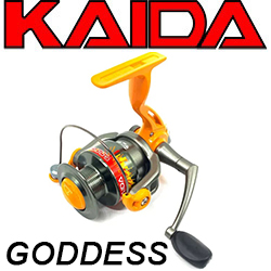 Kaida Goddess G004