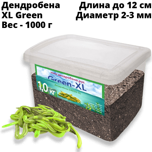 Червь Дендробена XL GREEN 1000г