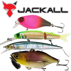 Jackall