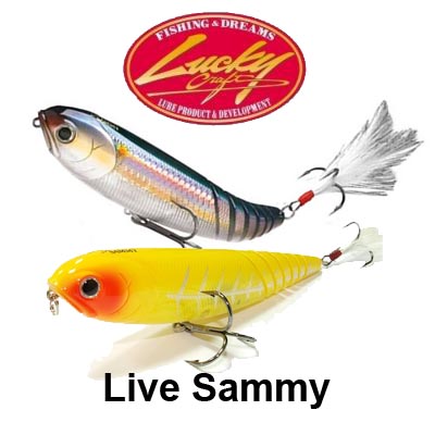 Lucky Craft Live Sammy 120