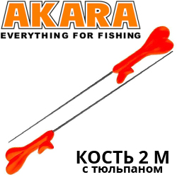 Akara Кость 2 M с тюльпаном