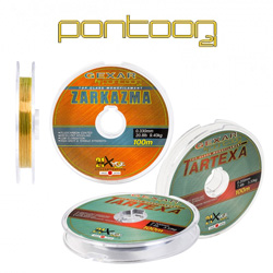 Pontoon 21