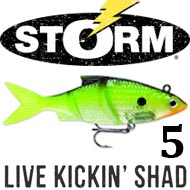 Storm Live Kickin' Shad 05