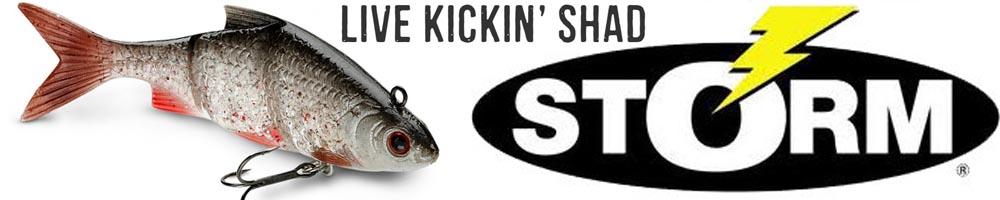 Storm Live Kickin' Shad 04