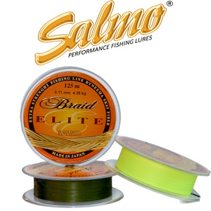 Salmo Elite Braid 200м