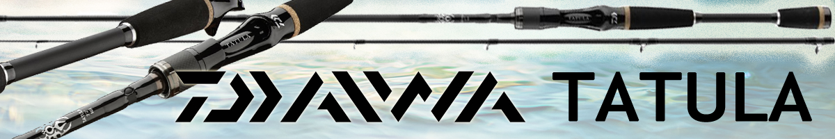 Daiwa Tatula BC