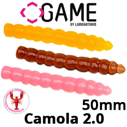Game by laboratorio Camola BioiLLogica 10 Gam