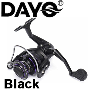 Dayo Black