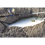 Спиннинг Savage Gear Salt2 228cm 15-65g