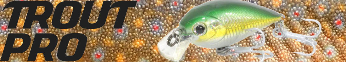 Trout Pro Crank Bait 40F