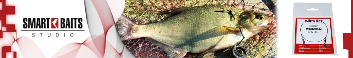 Smart Baits 
